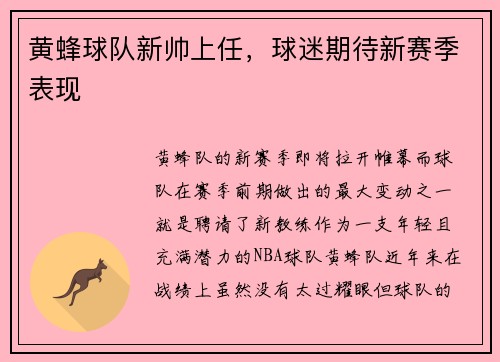 黄蜂球队新帅上任，球迷期待新赛季表现